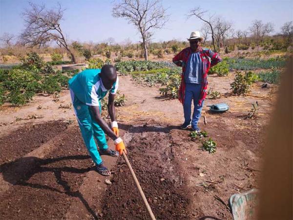 Tambacounda - Mme Aminata Djigo entrepreneure agricole «se démarquer des associations féminines classiques et entreprendre de grandes choses pour réussir»