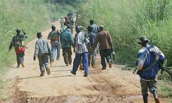 Casamance - partis à la recherche de bois de chauffe dans les forêts de Bissine (Goudomp) 6 jeunes de Senghere Baïnounck kidnappés puis libérés, sans leurs charrettes