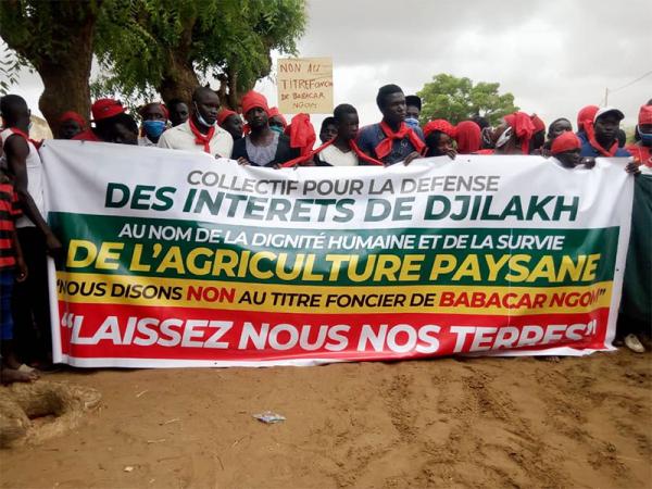 Affectation des terres aux privés, non-implication des populations, foisonnement des conflits fonciers l’inertie coupable de l’étatAffectation des terres aux privés, non-implication des populations, foisonnement des conflits fonciers l’inertie coupable de l’état Affectation des terres aux privés, non-implication des populations, foisonnement des conflits fonciers l’inertie coupable de l’état