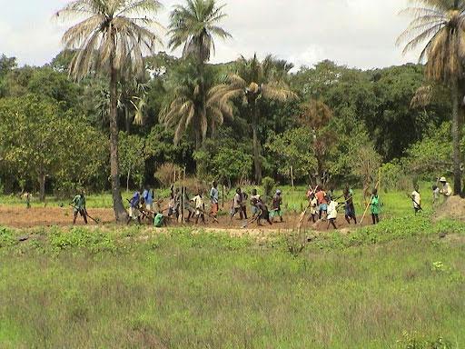 UNE DES CAUSES DU CONFLIT CASAMANÇAIS Le foncier continue de faire des malheureux à Ziguinchor