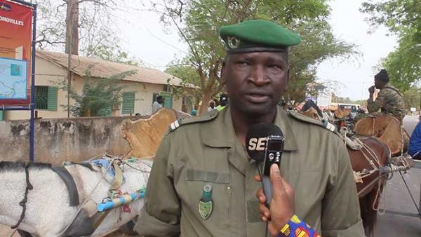 SÉDHIOU - nouvelle saisie de bois en zone frontalière avec la Gambie gouverneur et forestiers promettent l’enfer aux délinquants